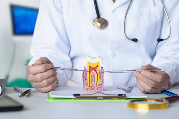 Best Emergency Dental Extractions in Osburn, ID